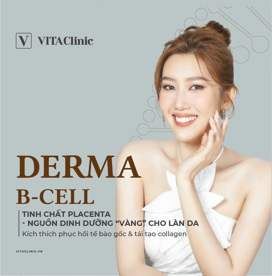 Derma B-Cell