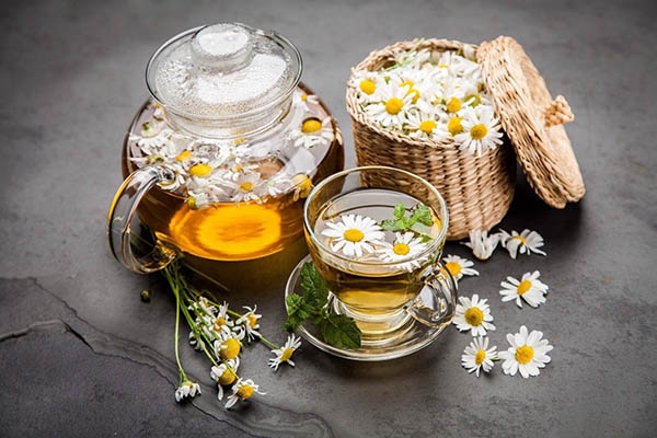 Hoa cúc có tác dụng phục hồi hư tổn trên da