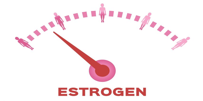 Estrogen là gì? 