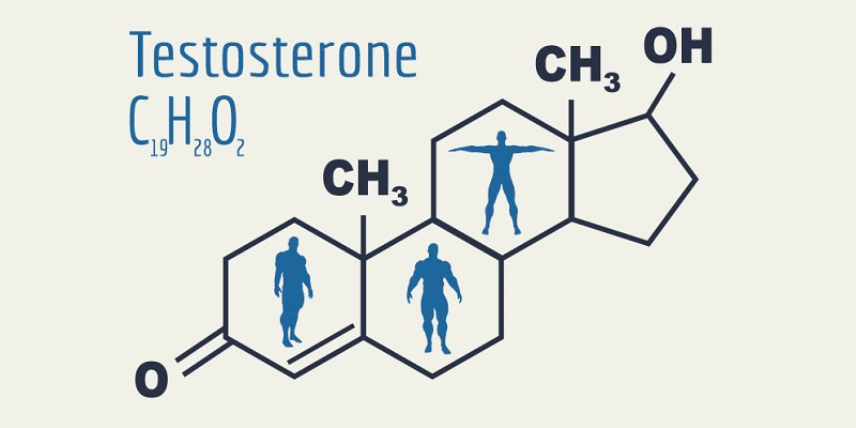 Testosterone là gì? Testosterone có vai trò gì với sức khỏe nam giới?