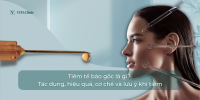 Tiêm Tế Bào Gốc Là Gì? Tác Dụng Và Lưu Ý - VITA Clinic