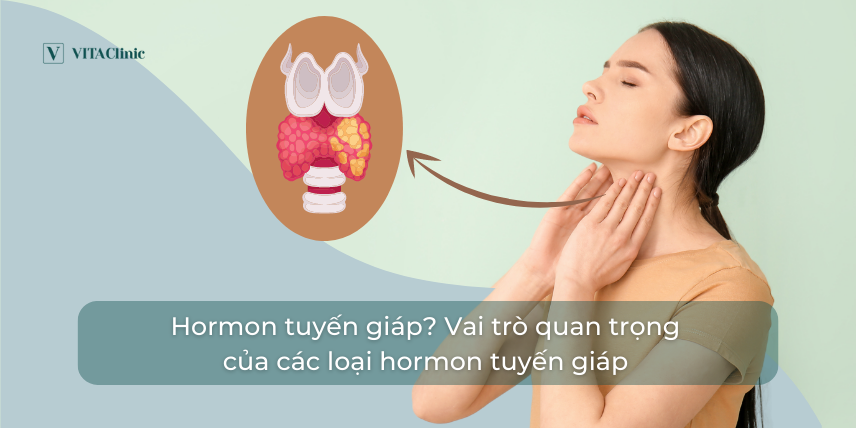 Hormon tuyến giáp? Vai trò quan trọng của các loại hormon tuyến giáp