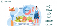 MỘT NGÀY CẦN BAO NHIÊU CALO?- VITA Clinic